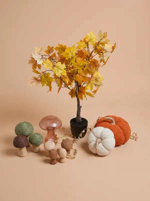 Deco automne · Décors et accessoires, dressing du studio de Julie Dugardin Photographe