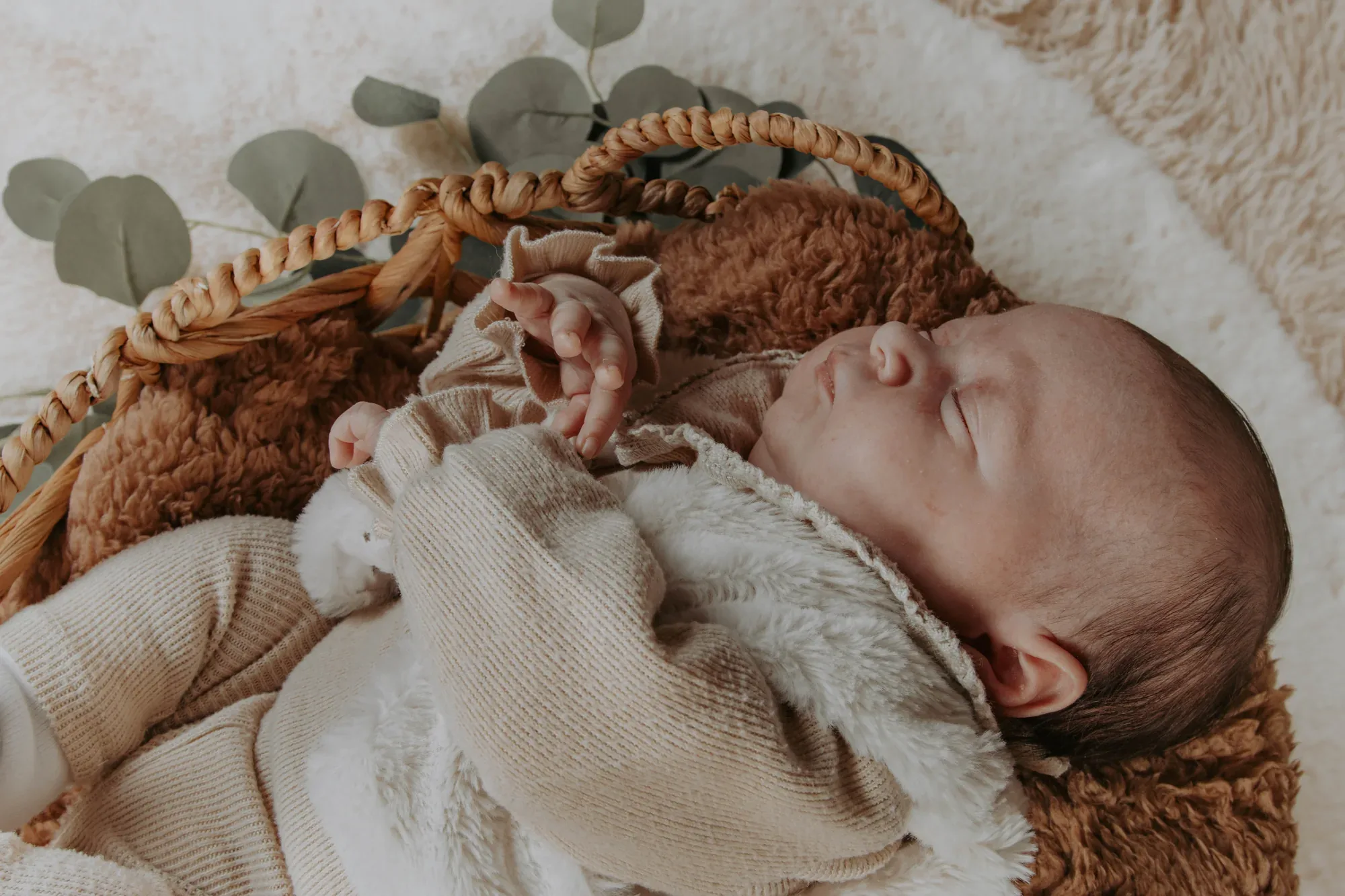 Photographe naissance Saint-Omer — Julie Dugardin Photographe